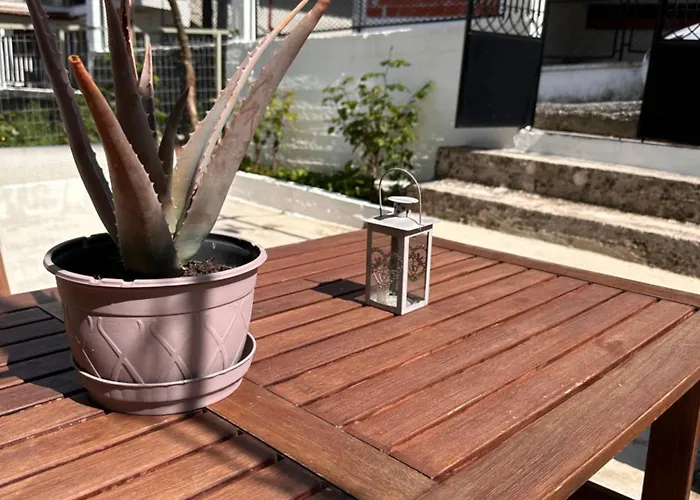 Kiwi Traditional House リトコロン